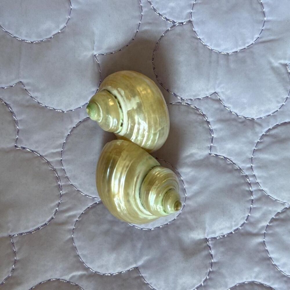Women's seashell Jewellry